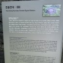 연동연대 | 제주 서귀포 올레7길 근처_ 범섬이 내려다 보이는 숨은 장소_연동연대