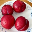 피자헛을지로 | (6.14~7.6) 촌놉칩스, 이마트 피자, 경동시장 야끼만두, 시래기고등어찜, 달콤바삭 찹쌀누룽지...