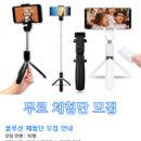 블루선 이미지