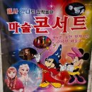 엘사 안나도 깜짝 놀란 마술콘서트 이미지