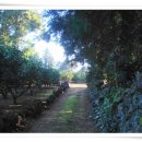 의귀리마을 이미지