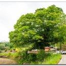 느티나무의원 이미지