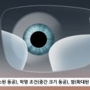 윤선생안경원 이미지