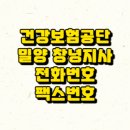 밀양시청 서문 옆 이미지