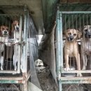 종식2농장 이미지