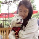 땅콩애견놀이터 이미지