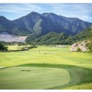 동강시스타 이미지