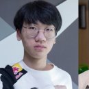 도란