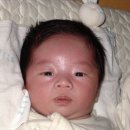 자애산부인과 네이버블로그