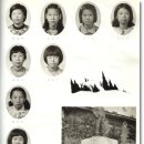 다수초등학교 이미지