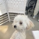 그루밍솔루션 구로점 이미지