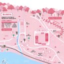 양산원동매화축제 순매원 나들이 주차장 이용후기