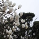 청북중학교 이미지