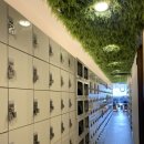 마인드휘트니스 올레시장점 이미지