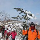 태백산 - 김포시 양곡3로1번길 26-5 | 태백산