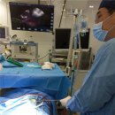 가디언 동물의료센터 이미지