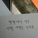 2025 : 5월의 우당탕탕 일상과 다이아몬드 브릿지 걷기 축제 후기