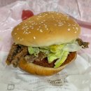 롯데리아팔용점 | [ 롯데리아 신메뉴 ] 오징어 얼라이브 버거 , 실비김치 맛 양념감자 솔직후기