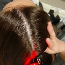 수원-1394 이미지