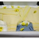 마티애견 이미지