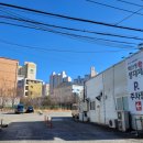 백선생생대패 이미지