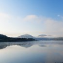 회동수원지 이미지