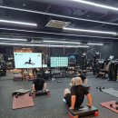 MVM휘트니스 | 드디어 운동 제대로 시작! MVM 피트니스 삼성점 강남pt 후기