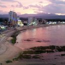 황금나무 공인중개사사무소 이미지