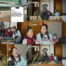 금송아지 이미지