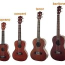 우쿨렐레 이미지