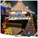 함평종합관광안내소 | 2025 함평 겨울 빛축제 날짜 기간 확인 · 주차 · 볼거리 · 먹거리 소개