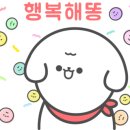 땡큐애견 이미지