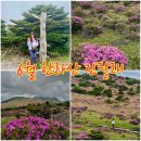 6월 한라산 진달래 만개 어리목에서 영실코스 윗세오름 등산코스 후기 주차팁