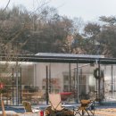 스테이 산위 이미지