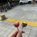 강남미약국 | 베오미 / 베스트오브미 시험관 - 동결이식 2차, 배아이식 당일 +불만후기. 이식선물이 복불복..?