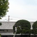아이비공방 | 오카야마 관광명소 쿠라시키 아이비 스퀘어 방문 후기