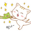 (주)와이즈넷 이미지