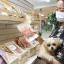 프랑소와펫 롯데일산점 이미지