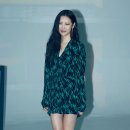 선미 이미지