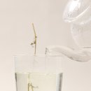 꽃다숨정미란