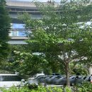 완주군생활자원화센터 | 서울형 키즈카페 뚝섬자벌레점 후기｜주차·이용팁·아이랑 체력방전 주말 나들이
