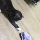 설아네미용실 이미지