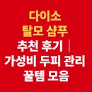다이소 탈모 샴푸 추천 후기｜가성비 두피 관리 꿀템 모음