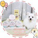 빵근맘마 | [강아지사료추천]"빵근맘마"강아지습식사료 후기#