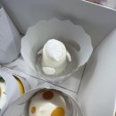 레종졸리 이미지