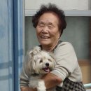 무창할머니 이미지