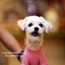 신월동019 이미지