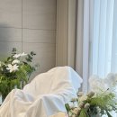 나뚜라 | 아기 100일 백일촬영 시기 꿀팁 남양주 나뚜라스튜디오 내돈내산 후기
