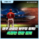 대구 사회인 야구인이라면 꼭 알아야 할 3개월 속성 SKY스포츠아카데미 훈련 공개!