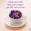 ☔️5월5일 어린이날 비가 내립니다. 이미지